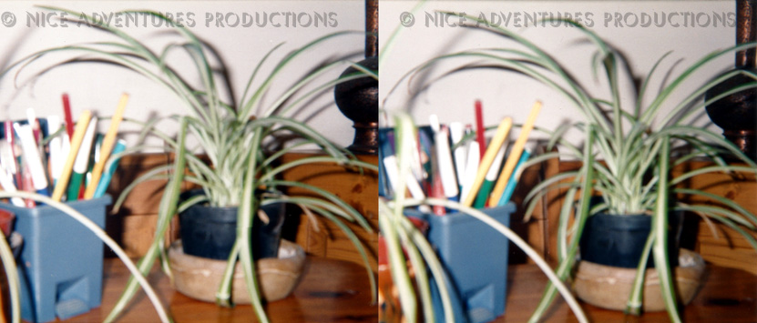 1996_c_Felt Tips and Plants 3D nap