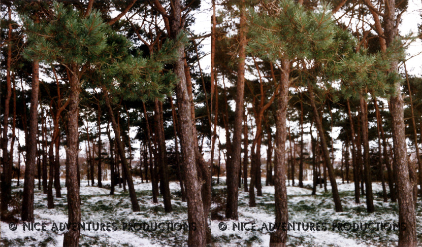 1997_c_Mousehold 1 3D nap