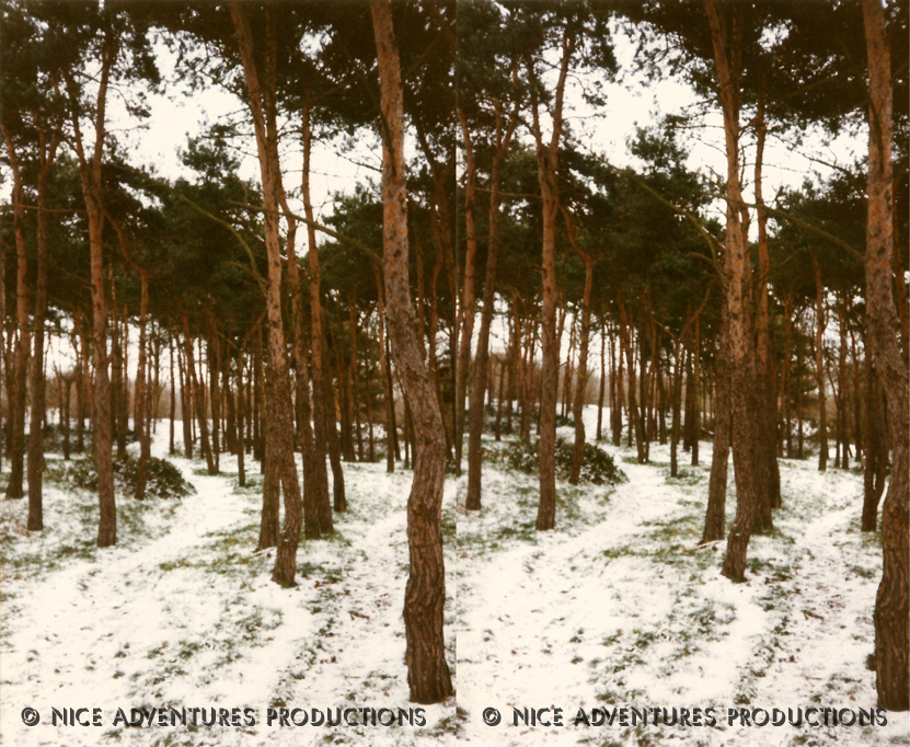 1997_c_Mousehold 2 3D nap