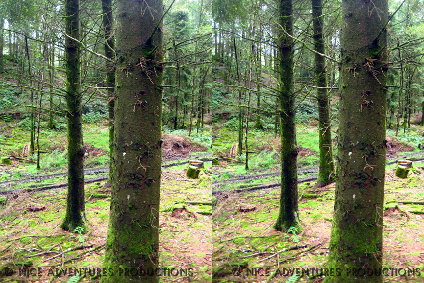 2009_Aug 31_Hill top opposite Hill Top 3D 2 nap