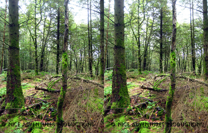 2009_Aug 31_Hill top opposite Hill Top 3D 3 nap