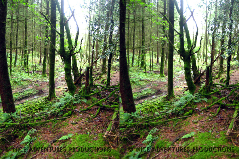 2009_Aug 31_Hill top opposite Hill Top 3D 5 nap