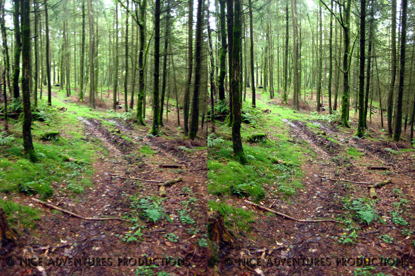 2009_Aug 31_Hill top opposite Hill Top 3D 6 nap