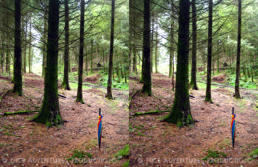 2009_Aug 31_Hill top opposite Hill Top 3D 7 nap