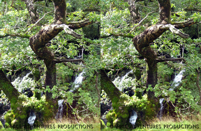2009_Sept 01_Waterfall 3D 2 nap