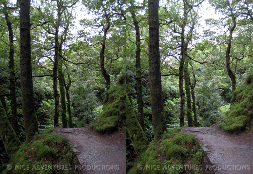 2009_Sept 02_Ullswater waterfall walk 3D 2 nap