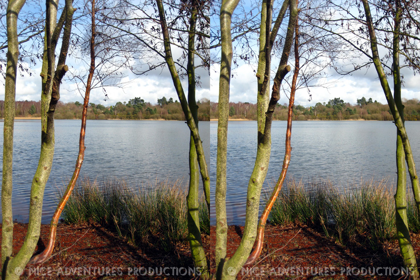 2012_March 18_Lake nap