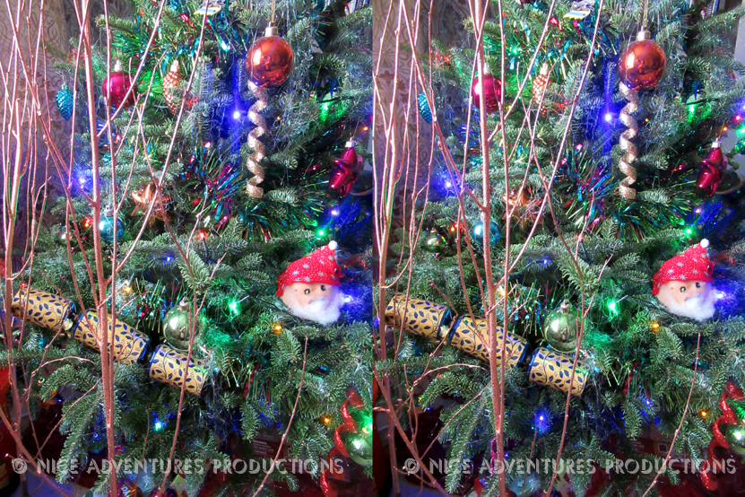 2018_Dec 25_Christmas Tree 2 3D nap